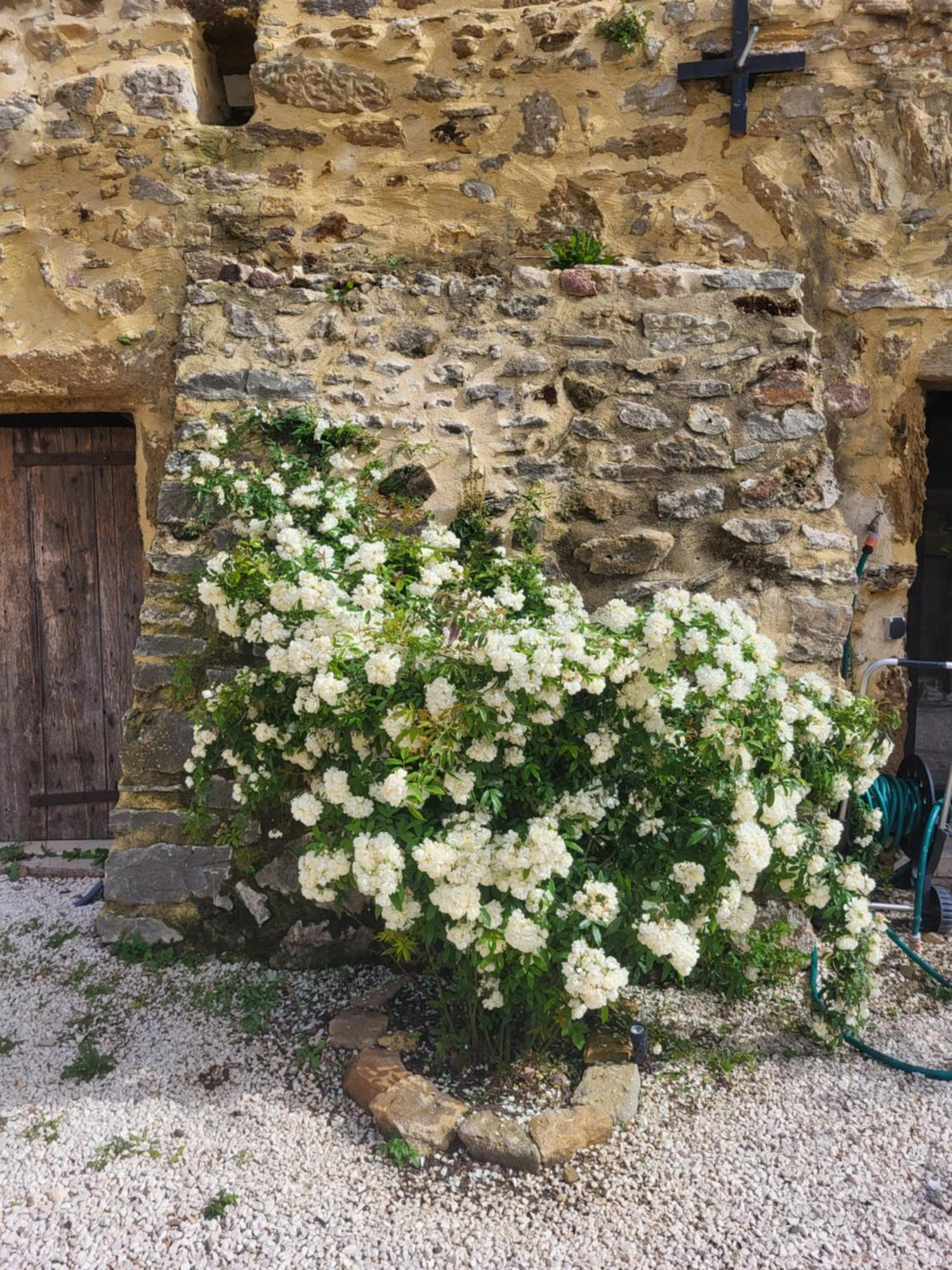 Bastide De La Madeleine Bed and Breakfast Pougnadoresse Εξωτερικό φωτογραφία